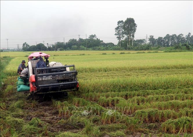   Từ miền 'quê lúa' đến điểm sáng Nh88 net của vùng Đồng bằng Bắc Bộ