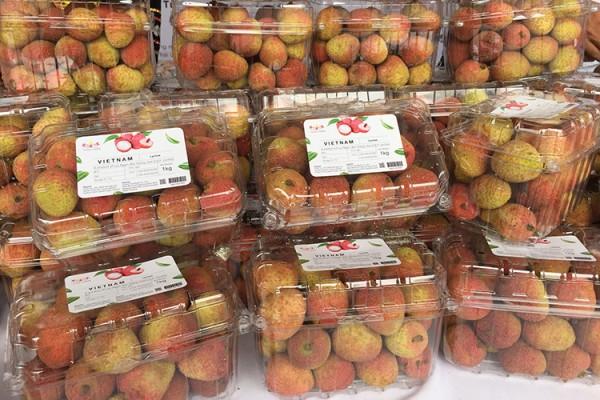   Nh881: Gắn kết, chủ động và trách nhiệm đã trở thành một ‘thương hiệu’ của ASEAN