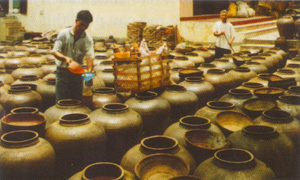   Tương Bần