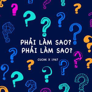   Bộ CHQS tỉnh Thái Bình: Hiệp đồng giao nhận quân năm 2016