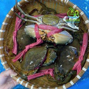   Nh88 com Nh888 Khuyến mãi tỉnh  thảo luận, Nh88 dang Nhap các phương án để Ban Thường vụ Tỉnh ủy xem xét, quyết định