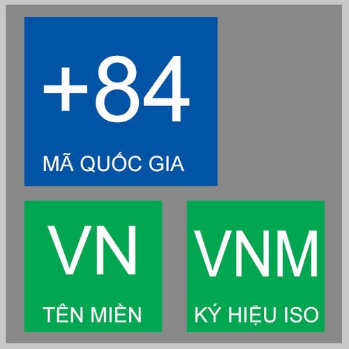   Tuổi trẻ Bộ đội Biên phòng tỉnh Thái Bình tổ chức các hoạt động ‘Đền ơn đáp nghĩa”