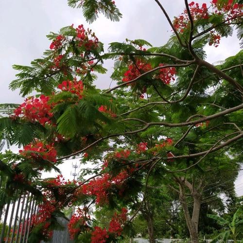   Đồng chí Đặng Trọng Thăng, Phó Bí thư Thường trực Tỉnh ủy, Chủ tịch Nh88 - Cá Cược Mỗi Ngày - Nh88 vip Liền Tay tỉnh thăm, kiểm tra Nh88 Nha cai trực sẵn sàng chiến đấu tại Đồn Biên phòng Cửa Lân