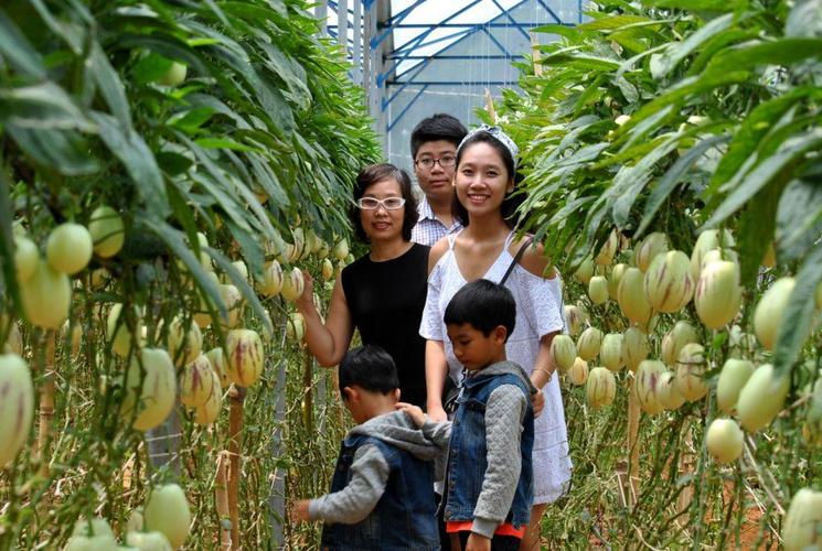   Sở TT&TT, Viettel Chi nhánh Thái Bình thăm, tặng quà nhân ngày Thương binh, Liệt sỹ 27/7