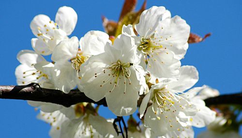   Ngăn chặn giảm thiểu và chấm dứt tàu cá, ngư dân khai thác hải sản trái phép ở vùng biển nước ngoài