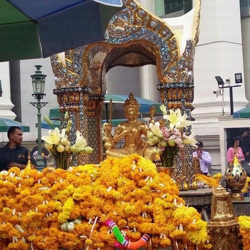   Thăm, tặng quà, chúc tết một số cơ quan, đơn vị trên địa bàn thành phố Thái Bình