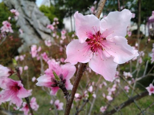   Trưng bày triển lãm hình ảnh, tư liệu về Nh881 Nguyễn Đức Cảnh