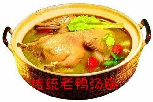   Động vật