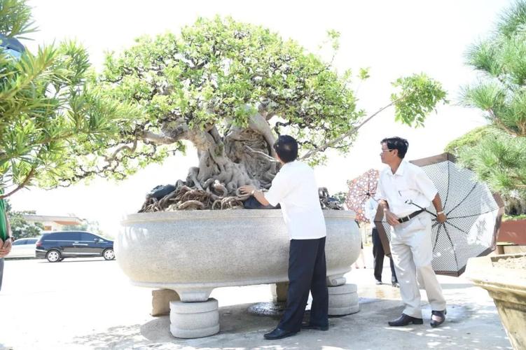   Tập huấn phổ biến các văn bản pháp luật, kiến thức về An toàn thực phẩm cho cán bộ y tế tuyến huyện, thành phố