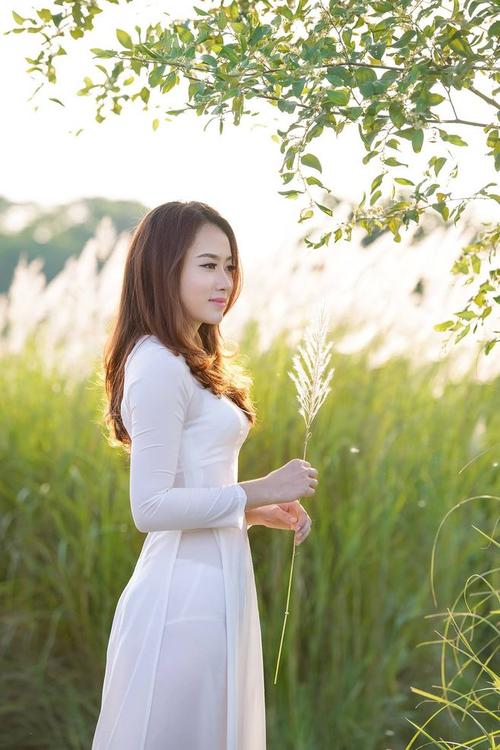   Xử lý nghiêm hành vi công bố thông tin sai sự thật