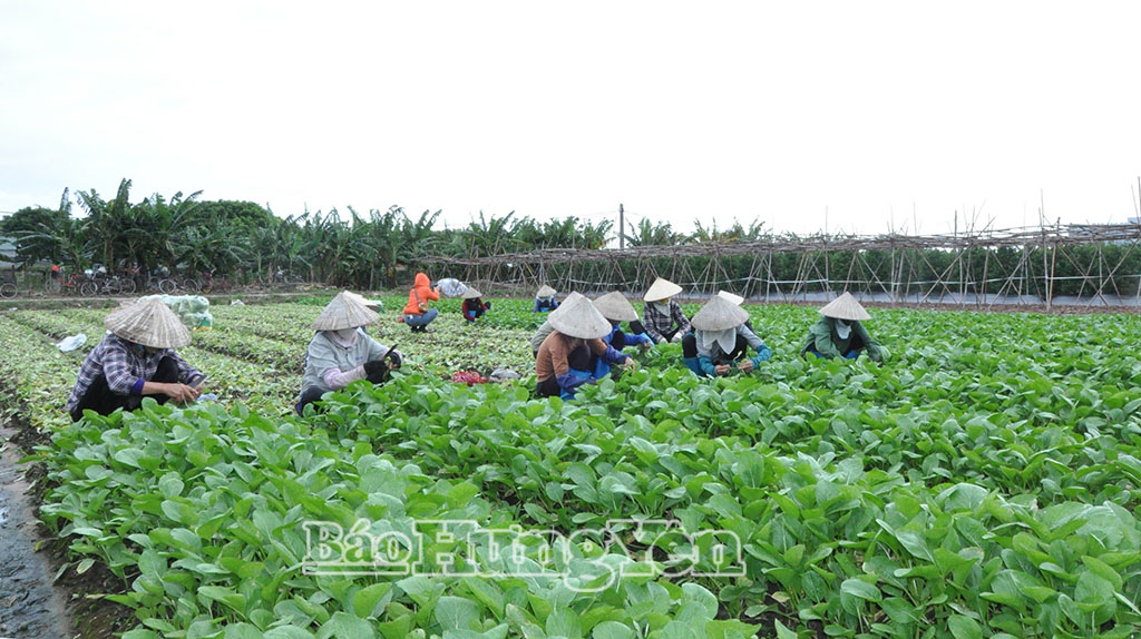   Xã Hoàn Long: Hoàn thành Nh88 con không còn hộ nghèo