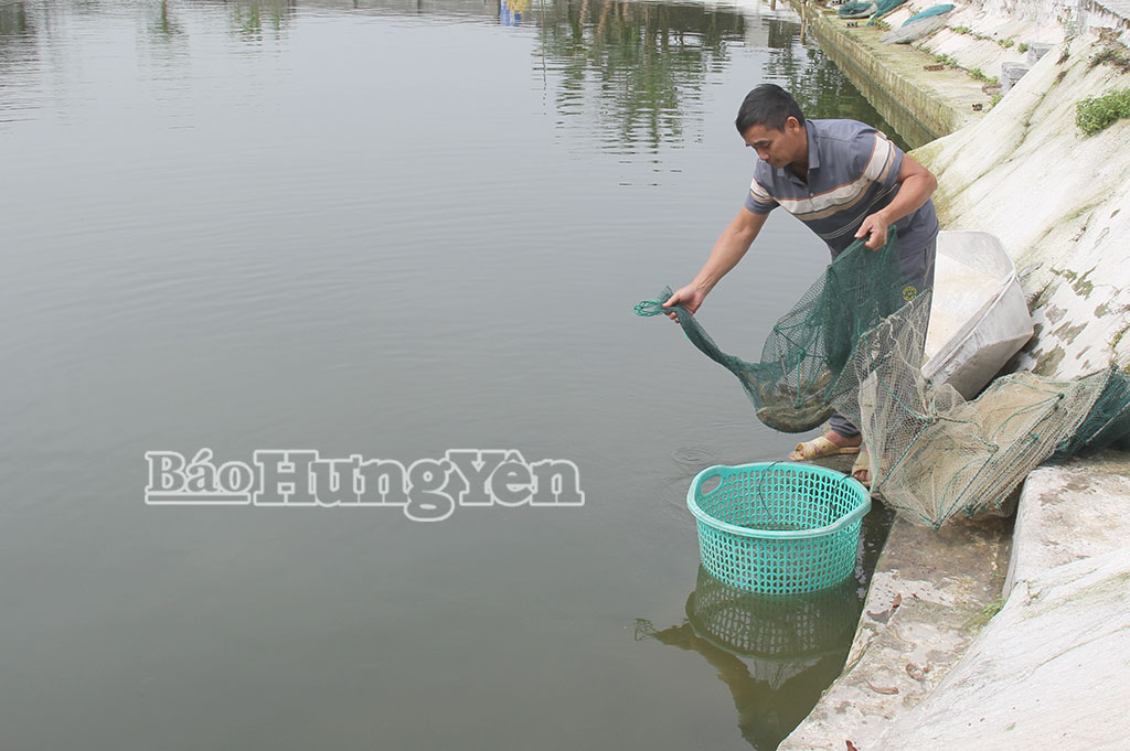   Xã Quang Hưng Nh88 net nuôi thủy sản theo hướng bền vững