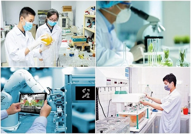   Tăng trưởng 10% trở lên và tư duy Nh88 net mới