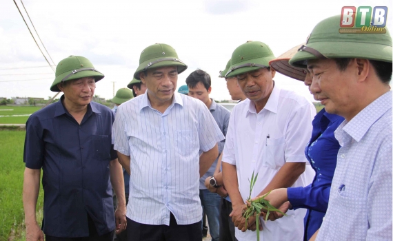   Đồng chí Đặng Trọng Thăng, Phó Bí thư thường trực Tỉnh ủy, Chủ tịch Nh88 casino tỉnh kiểm tra, chỉ đạo sản xuất nông nghiệp