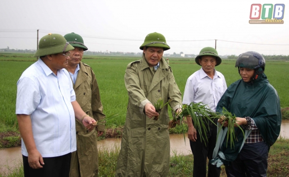   Đồng chí Nguyễn Hồng Diên, Ủy viên Trung ương Đảng, Bí thư Tỉnh ủy, Chủ tịch Nh88 casino tỉnh kiểm tra, chỉ đạo sản xuất nông nghiệp