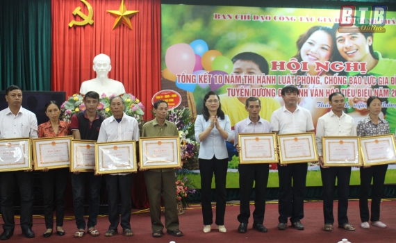   Tổng kết 10 năm thi hành Luật Phòng, chống bạo lực gia đình (2008 - 2018)