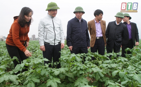   Đồng chí Nguyễn Hồng Diên, Ủy viên Trung ương Đảng, Phó Bí thư Tỉnh ủy, Chủ tịch Nh88 casino tỉnh kiểm tra sản xuất