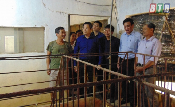   Quỳnh Phụ: 13.424 người nghèo và các đối tượng chính sách khác đang vay vốn ưu đãi của Nh88 con