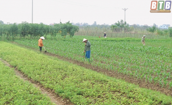   Nh888 sản xuất nông nghiệp tháng 10/2017