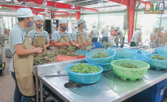   Thái Bình ban hành kế hoạch thực hiện Tháng hành động về An toàn , vệ sinh lao động năm 2018