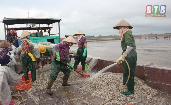   Hoàn thành cuộc tổng điều tra nông thôn, nông nghiệp và thủy sản năm 2016