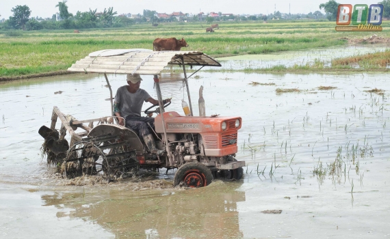   Canh tác lúa bền vững
