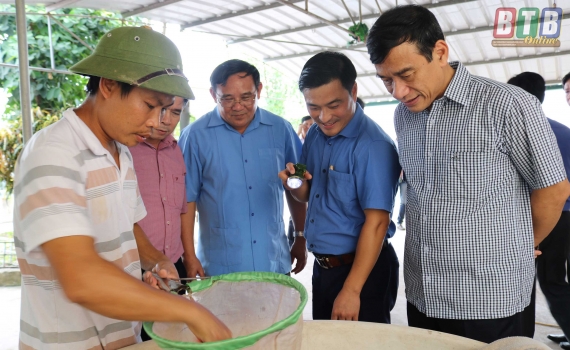   Đồng chí Đặng Trọng Thăng, Phó Bí thư thường trực Tỉnh ủy, Chủ tịch Nh88 casino tỉnh kiểm tra tình hình sản xuất, nuôi trồng thủy sản tại huyện Tiền Hải