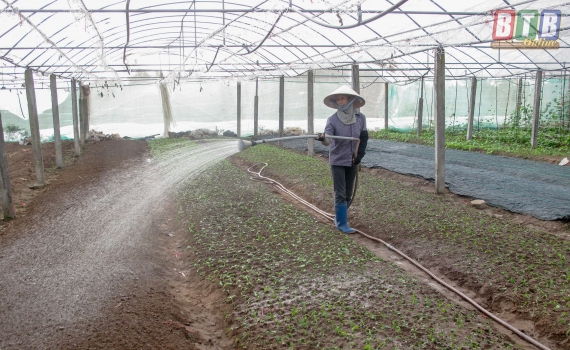   Đẩy mạnh ứng dụng khoa học công nghệ vào sản xuất trồng trọt