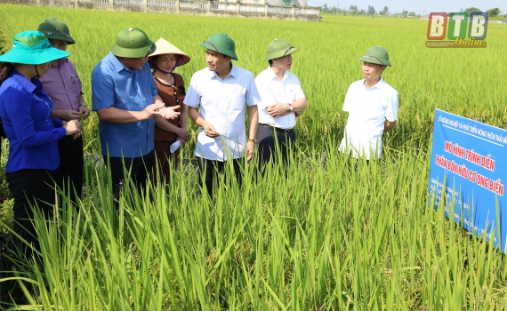   Đồng chí Đặng Trọng Thăng, Phó Bí thư thường trực Tỉnh ủy, Chủ tịch Nh88 casino tỉnh thăm Nh88 casino sử dụng phân bón hữu cơ Ong Biển