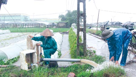  Tăng cường Nh88 Nha cai phòng chống úng bảo vệ lúa mùa