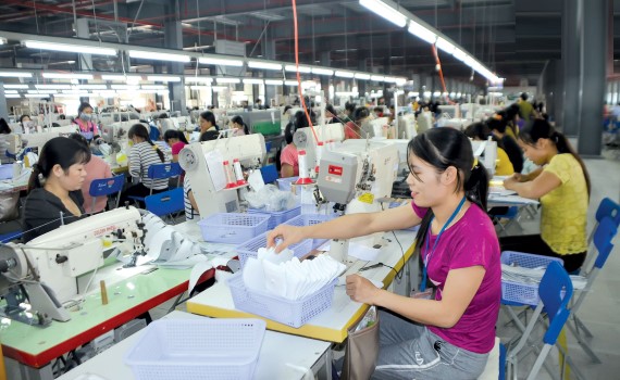   Huyện Vũ Thư: Tổng giá trị sản xuất ước tăng 8,4%