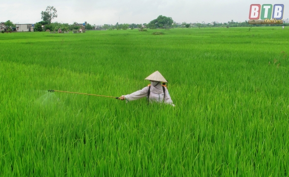   Nh888 sản xuất nông nghiệp tháng 4