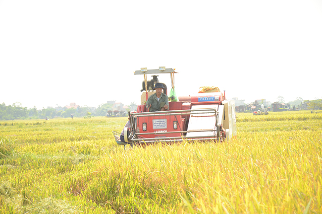   Huyện Hưng Hà: Tổng giá trị sản xuất  9 tháng đầu năm 2018 ước đạt 10.513,3 tỷ đồng