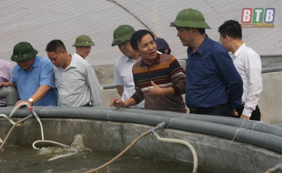   Kiểm tra tình hình sản xuất nông nghiệp và nuôi trồng thủy sản tại hai huyện Thái Thụy và Tiền Hải