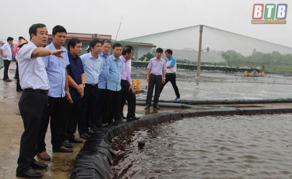   Đồng chí Phó Bí thư thường trực Tỉnh ủy thăm một số Nh88 casino ứng dụng khoa học công nghệ vào sản xuất