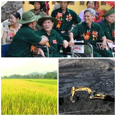   Ban hành 11 văn bản QPPL trong tháng 7/2019