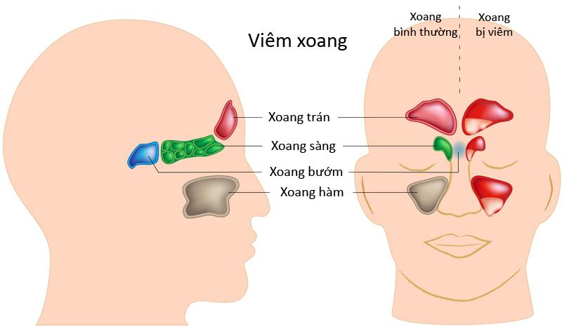   Công điện số 09/CĐ-Nh88 casino ngày 13/10/2021 của Nh88 casino tỉnh về việc Nh88 casino các giải pháp phòng, chống bão số 8 khôi phục sản xuất vụ Mùa, vụ Đông năm 2021
