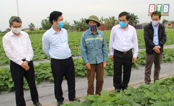   Thực hiện song hành việc chống dịch Covid - 19 với bảo vệ sản xuất nông nghiệp