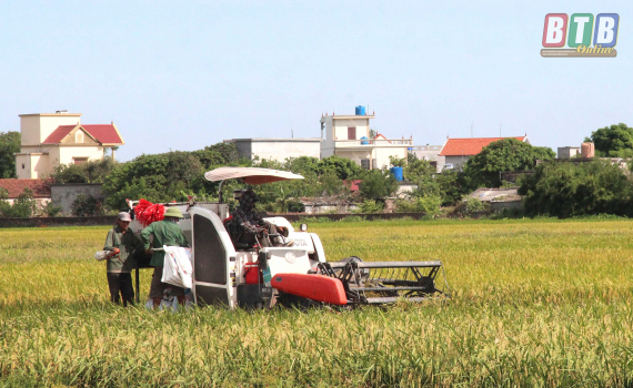   Phấn đấu năng suất lúa mùa đạt 60,5tạ/ha trở lên