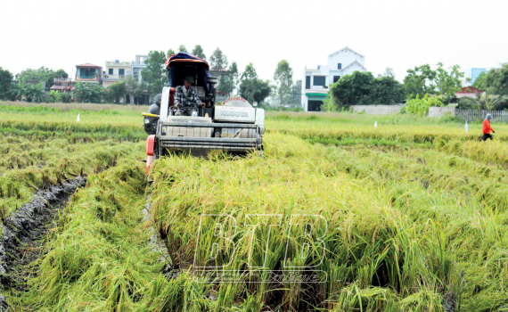   Toàn tỉnh tập trung khắc phục ảnh hưởng của mưa lớn