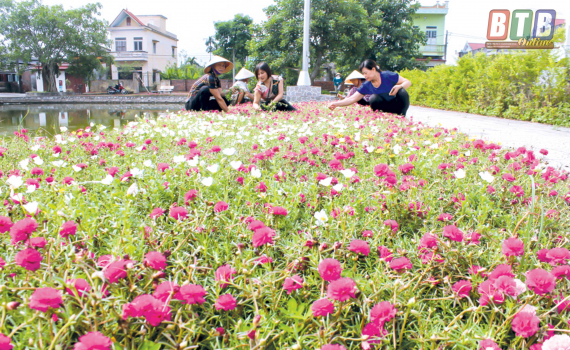   Phong trào thi đua yêu nước của hội viên, phụ nữ Thái Bình