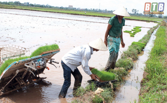   Hợp lực “xóa” ruộng hoang