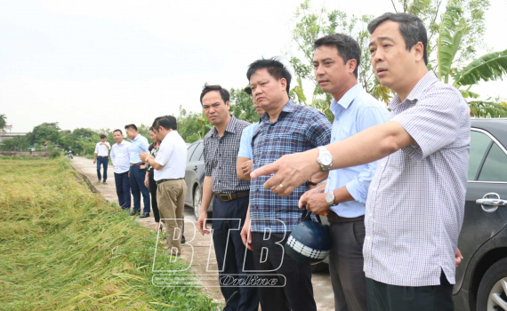   Tập trung khắc phục ngập úng, bảo vệ sản xuất nông nghiệp
