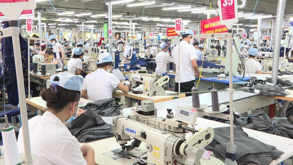   Huyện Hưng Hà: Tổng giá trị sản xuất năm 2019 tăng 12,82%