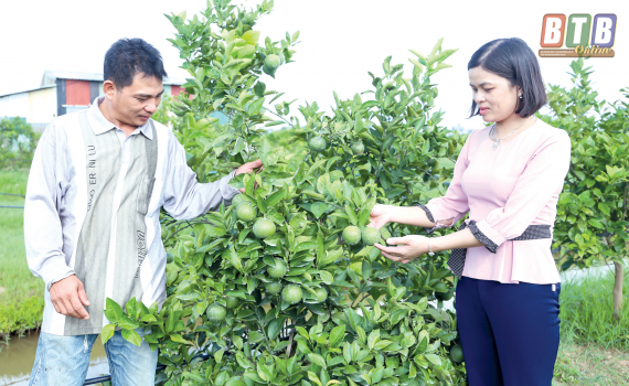   Cầu nối giúp hội viên Nh88 net kinh tế