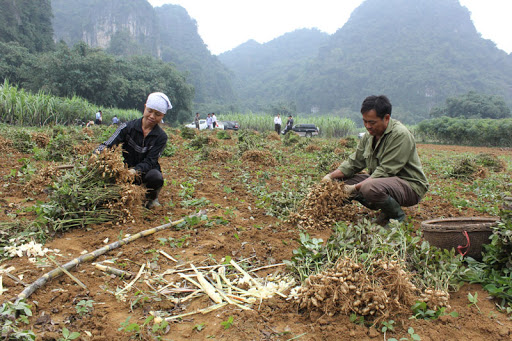   Triển khai sâu rộng phong trào thi đua cả nước chung tay vì người nghèo