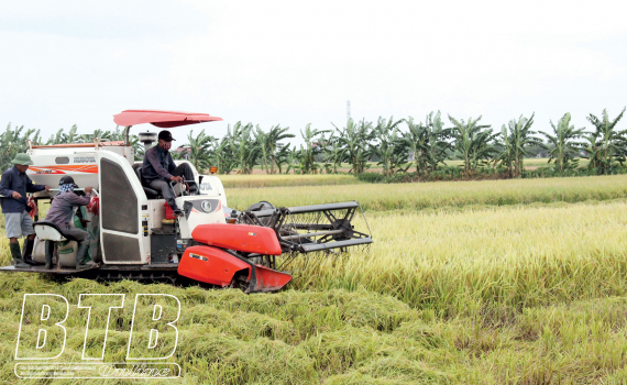   Nh883 nông nghiệp bền vững theo hướng hữu cơ