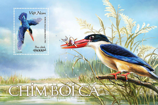   Phát hành bộ tem “Chim bói cá”