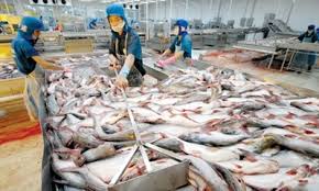   Tăng cường phân phối, tiêu thụ nội địa mặt hàng thủy sản