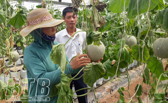   Phụ nữ Hưng Hà: Đẩy mạnh các phong trào thi đua